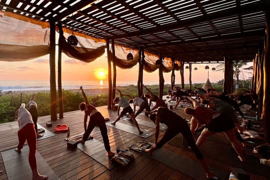 yoga retreats in varkala